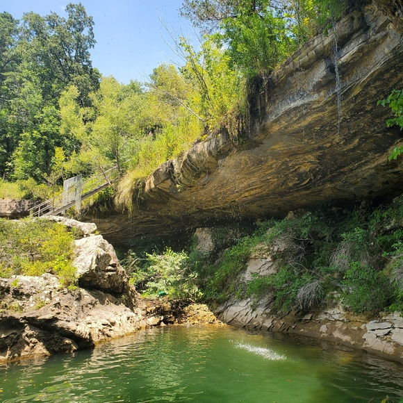 Meet your Posher, Bridget - Picture 5 of 10